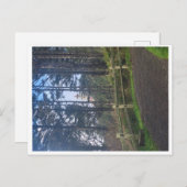 Heceta hoofd vuurtoren van trail briefkaart (Voorkant / Achterkant)