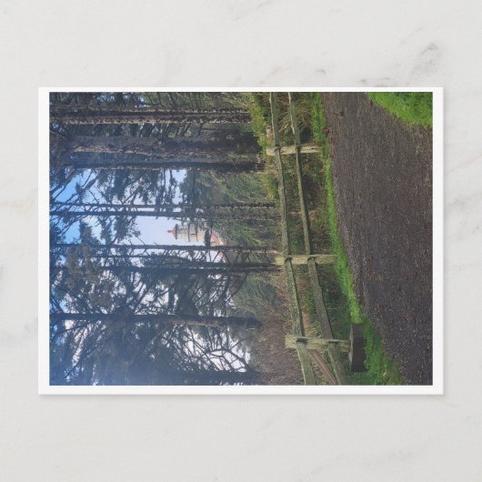 Heceta hoofd vuurtoren van trail briefkaart (Voorkant)