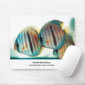 Heckel Blue Discusのマウスパッド Muismat (Met muis)