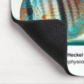 Heckel Blue Discus Muismat (Hoek)