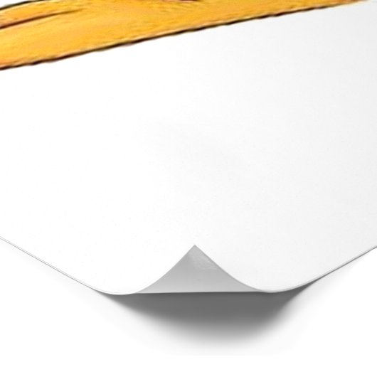 Heckle en Jeckle Poster (Hoek)