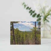 Heddy Draw Overlook, Custer State Park, SD Briefkaart (Staand voorkant)