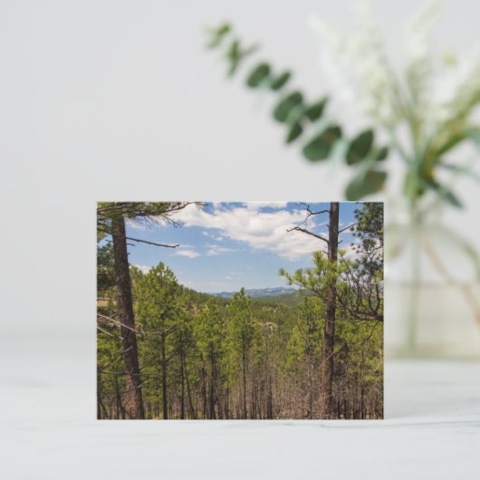 Heddy Draw Overlook, Custer State Park, SD Briefkaart (Staand voorkant)