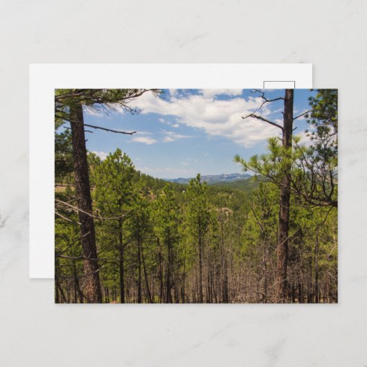 Heddy Draw Overlook, Custer State Park, SD Briefkaart (Voorkant / Achterkant)