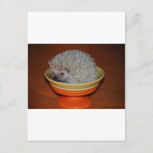 Hedegel Sundae Briefkaart
