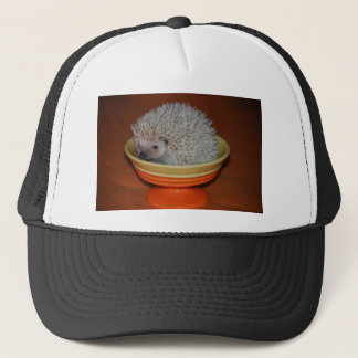 Hedegel Sundae Trucker Pet