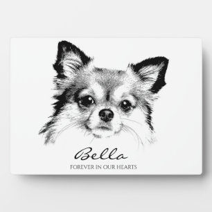 Hedendaags huisdierengedenkteken Forever In Our He Fotoplaat