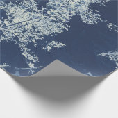 Hedendaagse Blauwe Bloemen Cyanotype Fotografie Cadeaupapier (Hoek)