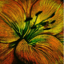 hedendaagse grote abstracte oranje bloem kussen