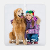 Hedendaagse huisdier foto persoonlijke grillige ho metalen ornament (Achterkant)