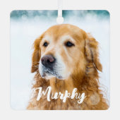 Hedendaagse huisdier foto persoonlijke grillige ho metalen ornament (Voorkant)