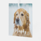 Hedendaagse huisdier foto persoonlijke speelse hon glas ornament (Voorkant links)