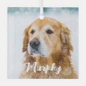 Hedendaagse huisdier foto persoonlijke speelse hon glas ornament (Voorkant)