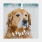 Hedendaagse huisdier foto persoonlijke speelse hon glas ornament (Achterkant)