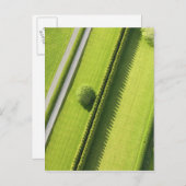 Hedge in The Hamptons Briefkaart (Voorkant / Achterkant)