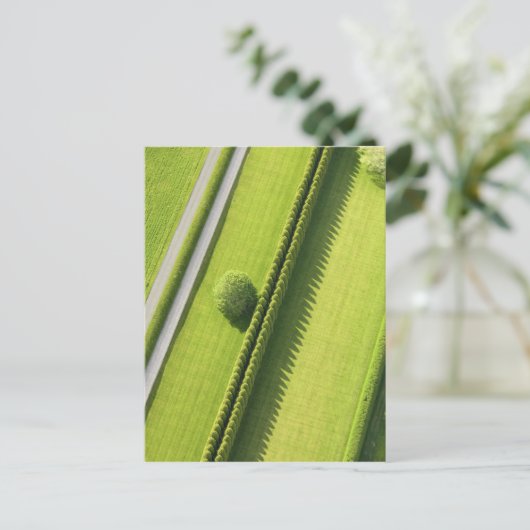 Hedge in The Hamptons Briefkaart (Staand voorkant)