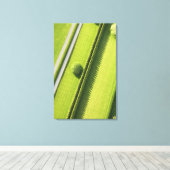 Hedge in The Hamptons Canvas Afdruk (Insitu (Houten vloer))