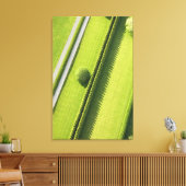 Hedge in The Hamptons Canvas Afdruk (Insitu (Woonkamer))