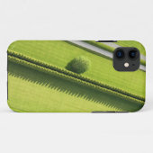 Hedge in The Hamptons Case-Mate iPhone Case (Achterkant (horizontaal))