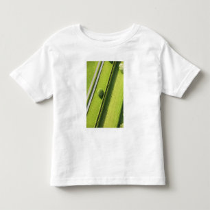 Hedge in The Hamptons Kinder Shirts