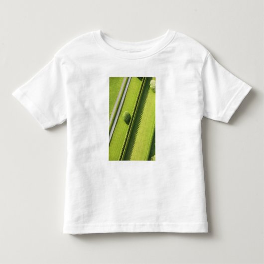 Hedge in The Hamptons Kinder Shirts (Voorkant)