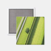 Hedge in The Hamptons Magneet (Voorkant / Achterkant)