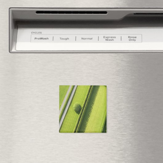 Hedge in The Hamptons Magneet (Insitu (Vaatwasser))