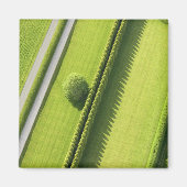 Hedge in The Hamptons Magneet (Voorkant)