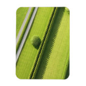 Hedge in The Hamptons Magneet (Verticaal)