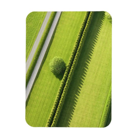 Hedge in The Hamptons Magneet (Verticaal)