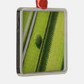 Hedge in The Hamptons Metalen Ornament (Rechts)