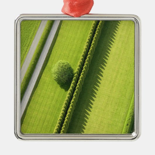 Hedge in The Hamptons Metalen Ornament (Voorkant)