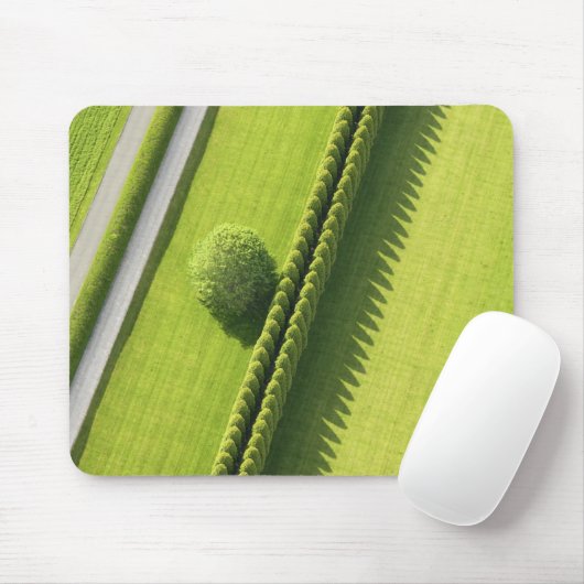 Hedge in The Hamptons Muismat (Met muis)