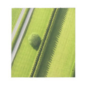 Hedge in The Hamptons Notitieblok (Voorkant)