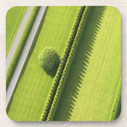 Hedge in The Hamptons Onderzetter (Voorkant)