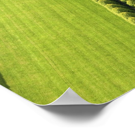 Hedge in The Hamptons Poster (Hoek)