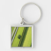 Hedge in The Hamptons Sleutelhanger (Voorkant)