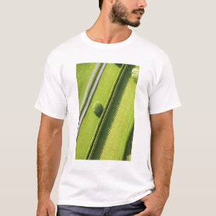 Hedge in The Hamptons T-shirt