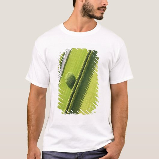 Hedge in The Hamptons T-shirt (Voorkant)