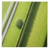 Hedge in The Hamptons Tegeltje (Voorkant)