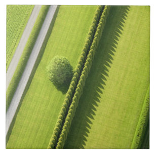 Hedge in The Hamptons Tegeltje