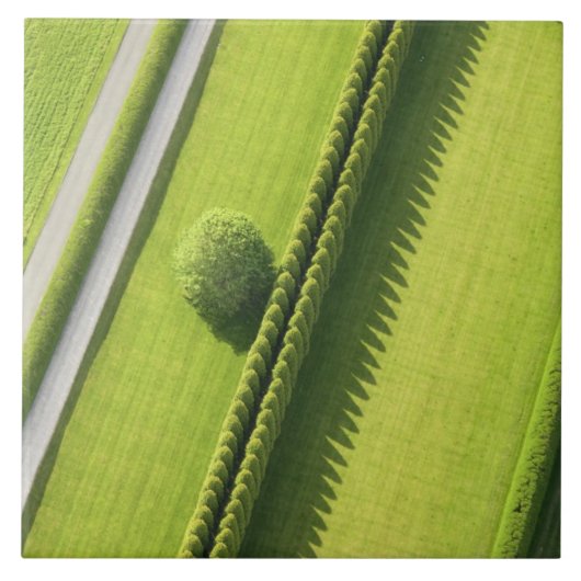 Hedge in The Hamptons Tegeltje (Voorkant)