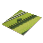 Hedge in The Hamptons Tegeltje (Zijkant)