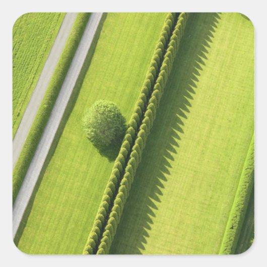 Hedge in The Hamptons Vierkante Sticker (Voorkant)