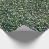 Hedge Leaves Foliage Texture Cadeaupapier (Hoek)