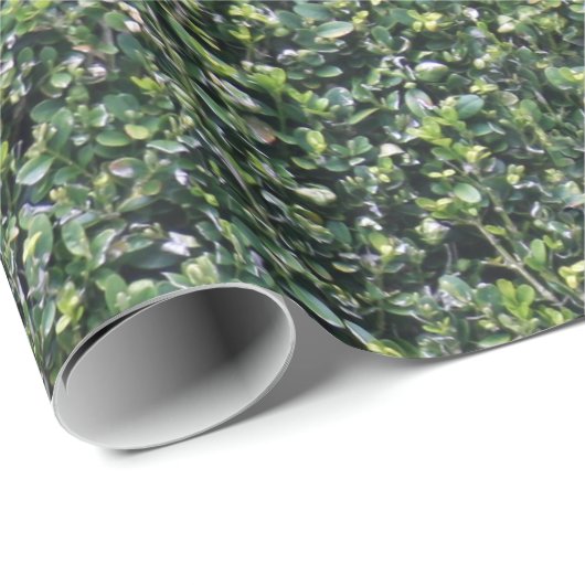 Hedge Leaves Foliage Texture Cadeaupapier (Rol Hoek)