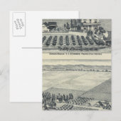 Hedge Row Vineyard, Fresno Briefkaart (Voorkant / Achterkant)