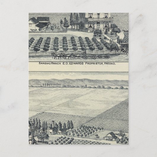 Hedge Row Vineyard, Fresno Briefkaart (Voorkant)