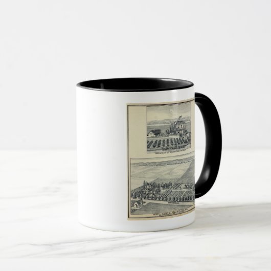 Hedge Row Vineyard, Fresno Mok (Voorkant rechts)