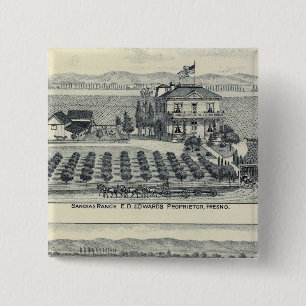 Hedge Row Vineyard, Fresno Vierkante Button 5,1 Cm